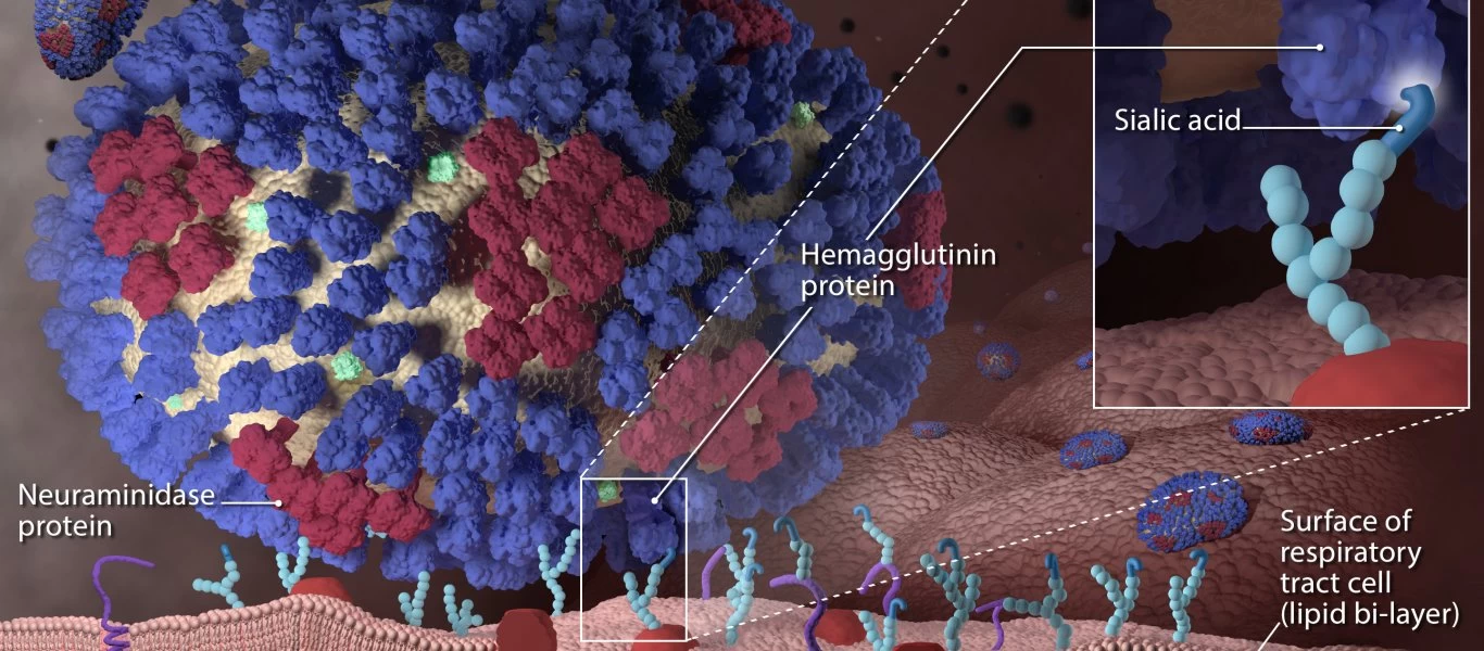 Βρετανία: Ποιες χρονιές είχε χιλιάδες θανάτους από γρίπη;